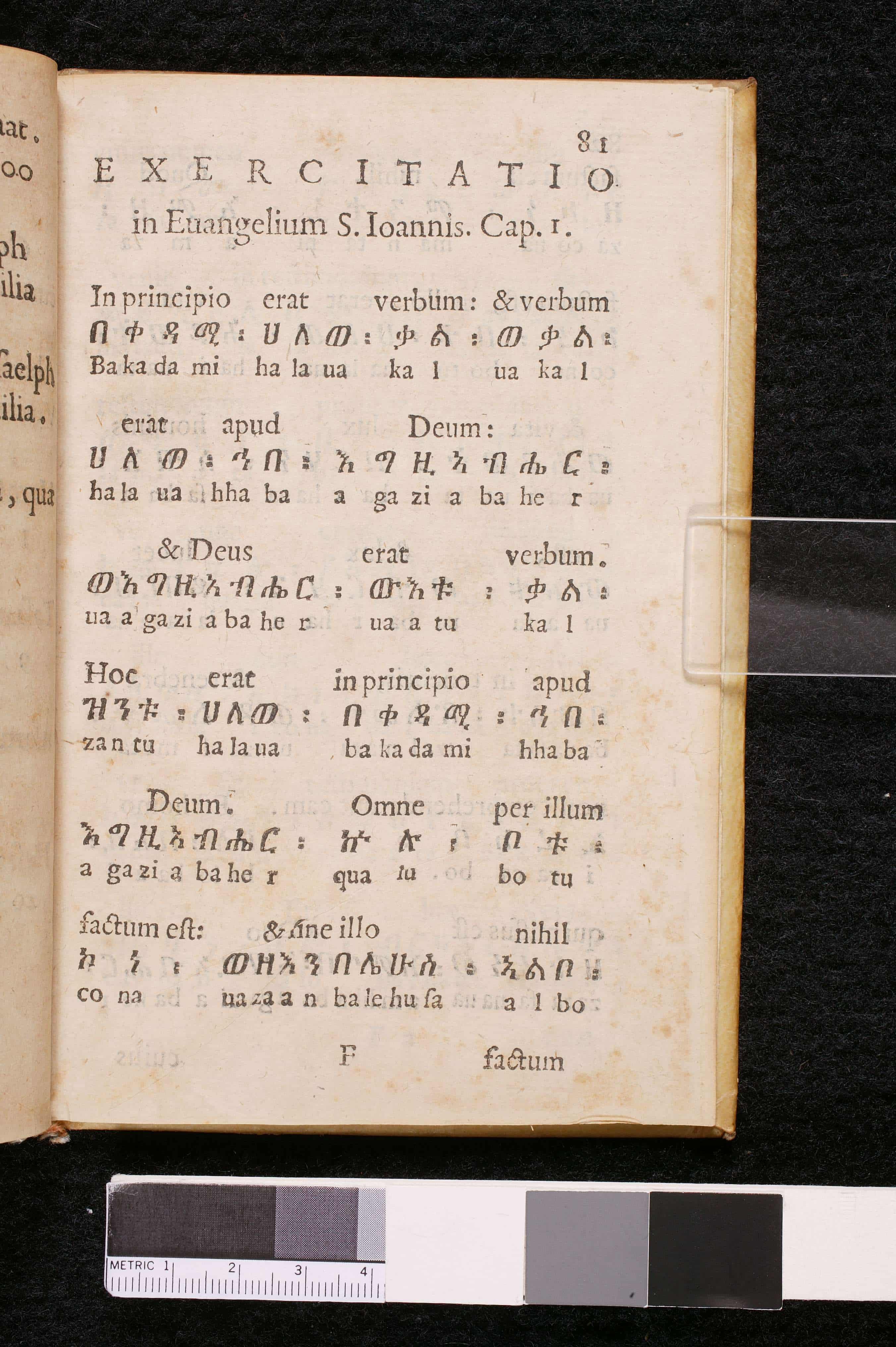 <em>Marianus Victorius. Chaldeae seu Aethiopicae linguae institutiones.</em>