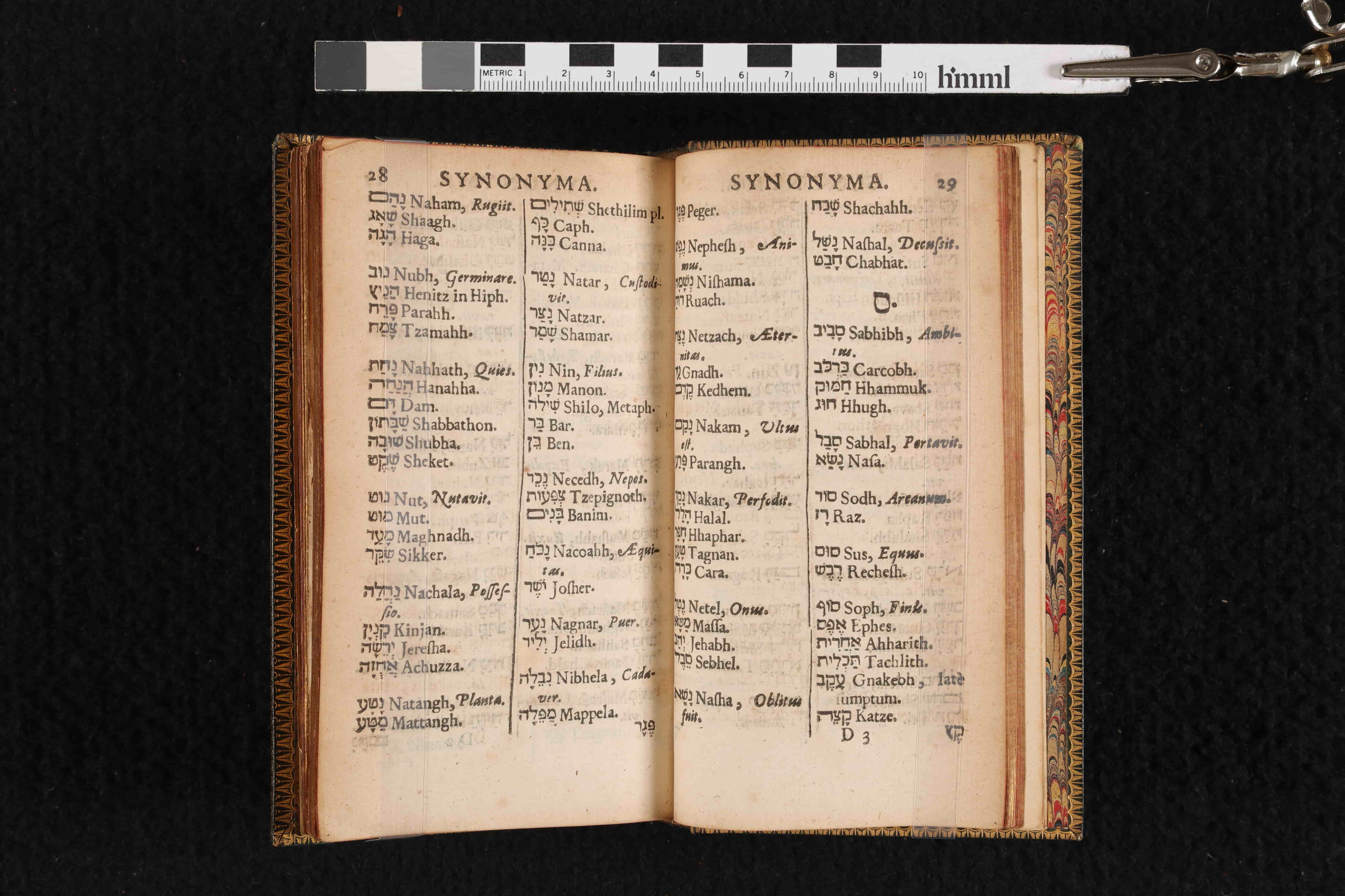Christian Ravis. <em>A generall grammer for the ready attaining of the Ebrew, Samaritan, Calde, Syriac, Arabic, and the Ethiopic languages.</em>