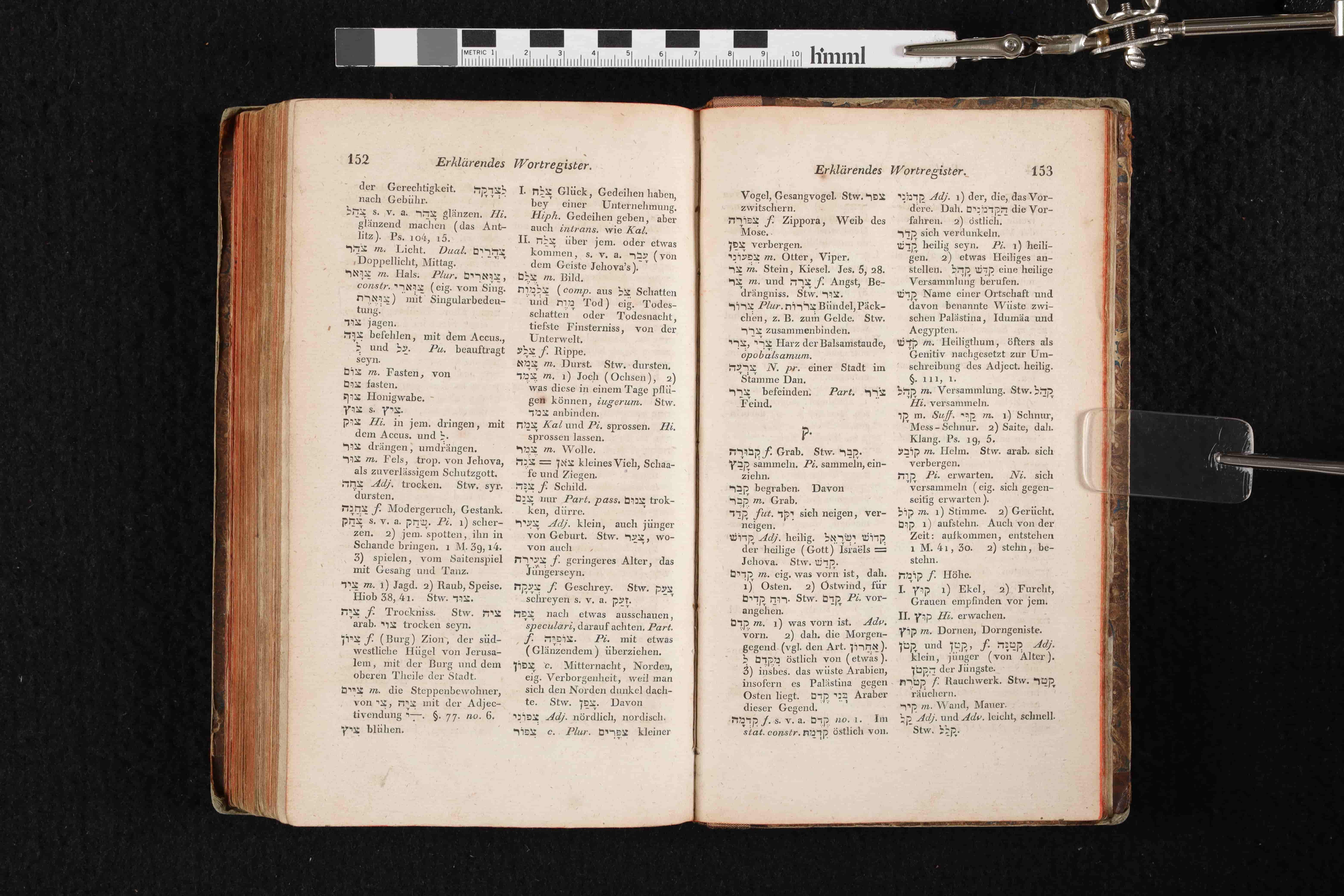 Wilhelm Gesenius, <em>Hebräische Grammatik.</em>