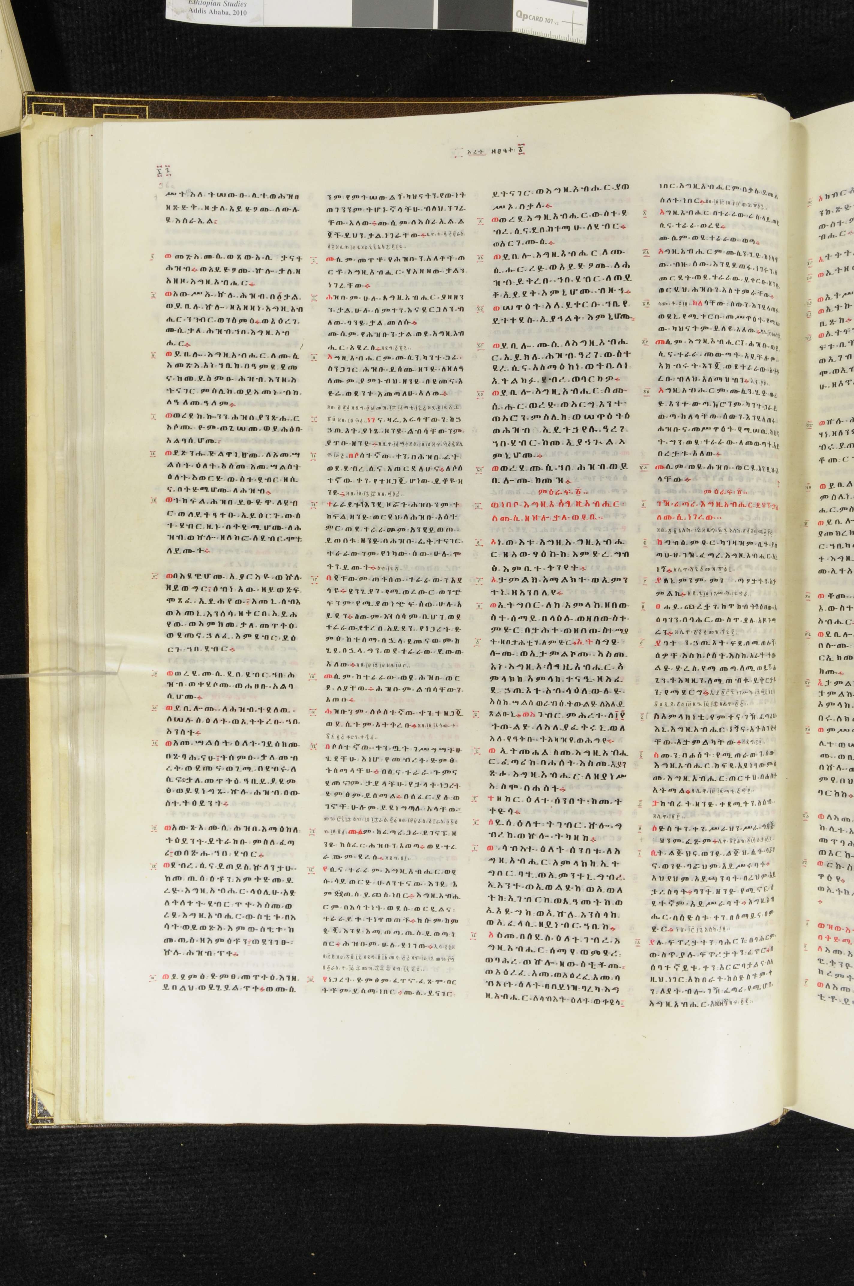 <em>Bible.</em>