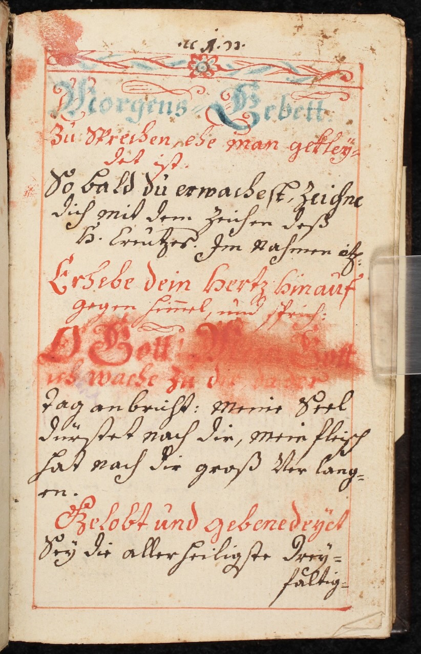 <em>Seeking Protection</em>