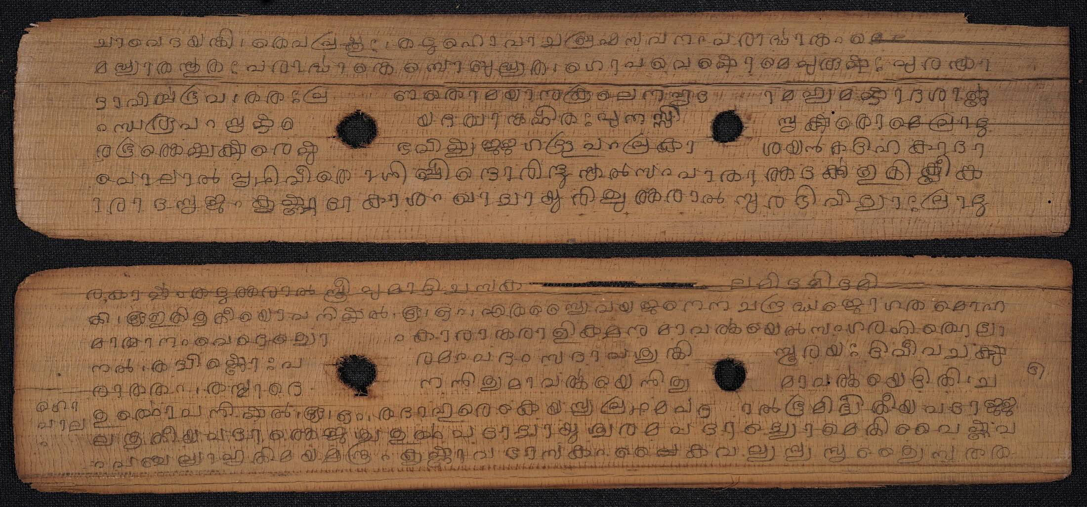 Malayalam leaves. DKA 001 00003