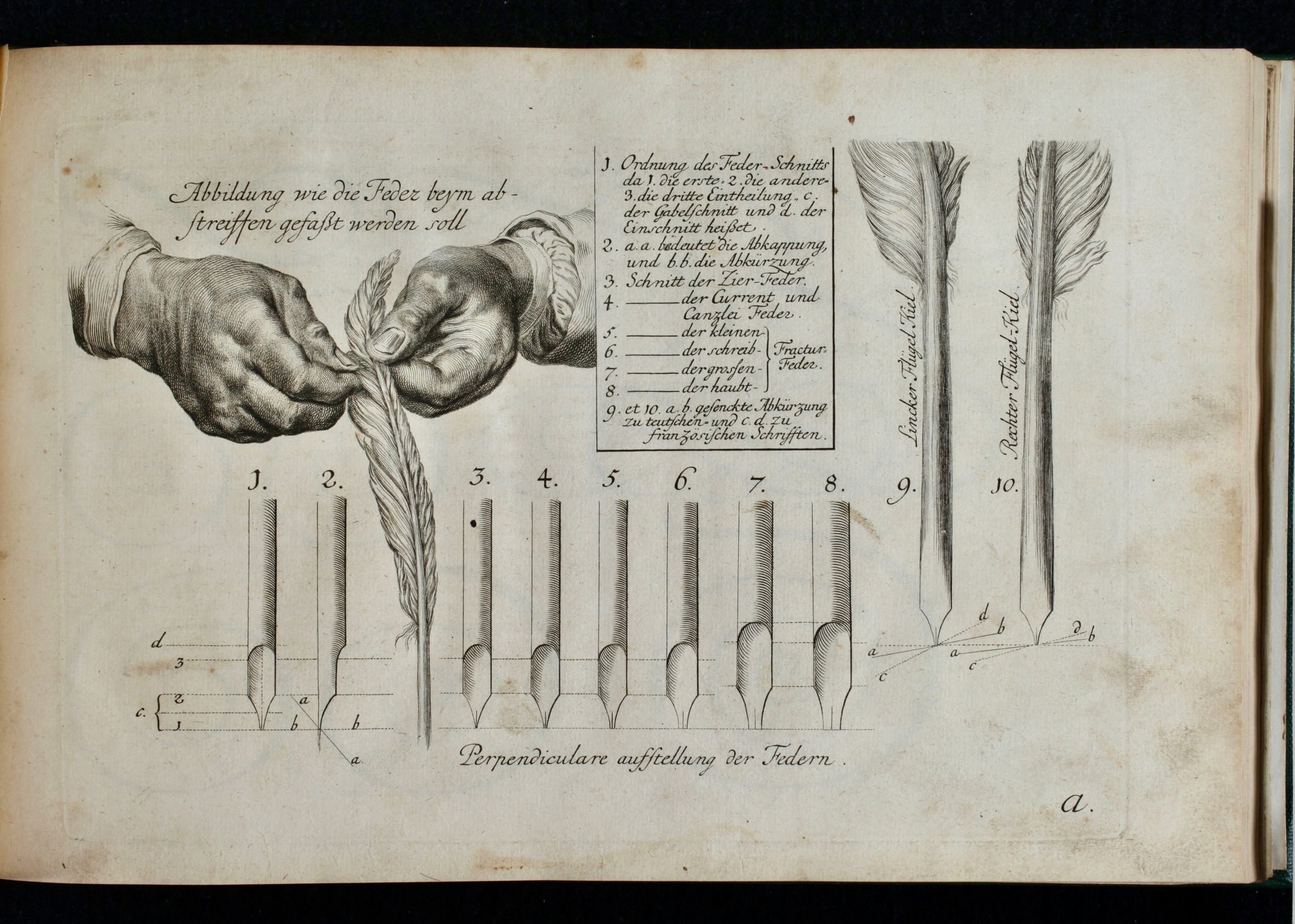 Learning To Write Practical Aspects Of Handwriting   MH Scribe 3 AARB 00147 IMG 113r 